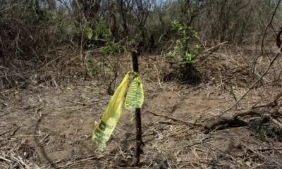 Menores de edad piden sumarse a búsqueda de sus padres desaparecidos