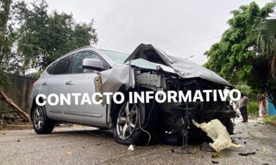 Camioneta derribó dos árboles y una barda; hay dos lesionados