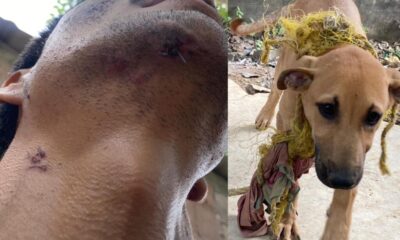 Policías Estatales allanaron casa de comerciante para privarlo de la libertad, golpearlo y robarle