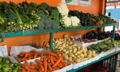 Se estabiliza precio de frutas, legumbres y verduras 