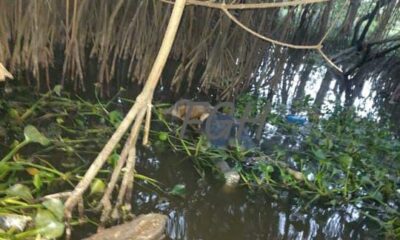 Putrefactos y carcomidos por especies acuáticas, aparecieron dos masculinos