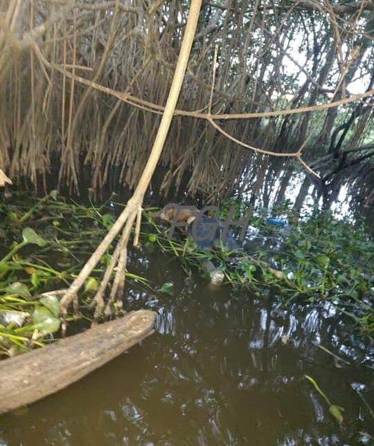 Putrefactos y carcomidos por especies acuáticas, aparecieron dos masculinos