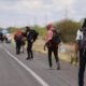 Secuestran a 31 migrantes en Tamaulipas
