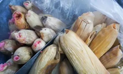 Niño de 5 Años Muere Mientras Comía un Tamal