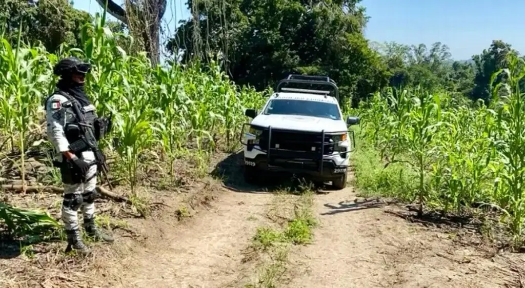 Localizan fosa clandestina en Tihuatlán, Veracruz; Fiscalía ya investiga