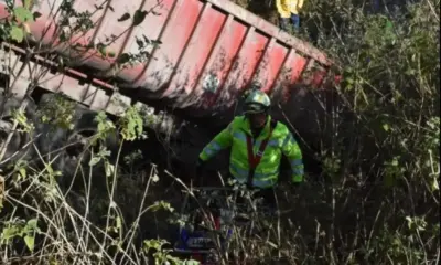 Tráiler con grava para Tren Maya cae a barranco en Maltrata, Veracruz; hay un muerto