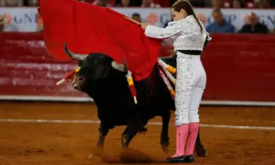 Corridas de toros seguirán en la Plaza México; juez rechaza otorgar suspensión