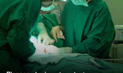 Planean el primer trasplante de riñón de cerdo a un feto humano