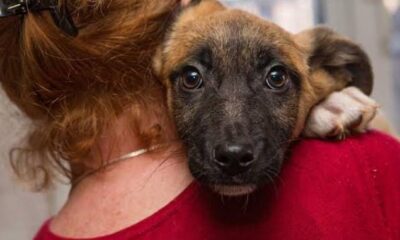 A machetazos acabaron con la vida de «lomito» en Cosoleacaque