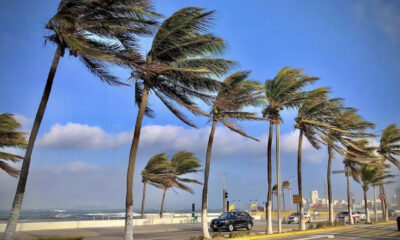 ¿Cuándo se tendrá el mayor efecto del viento del norte en Veracruz?; estas serían las rachas