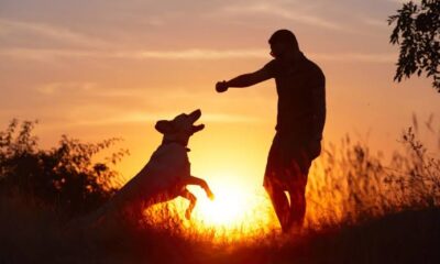 Hombre de la tercera edad muere sentado en la banca de una plaza; sus perros nunca lo dejaron sólo