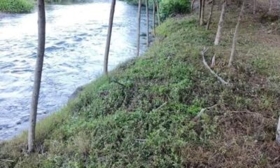 ¡Era de Zaragoza, Ver. La dama ahogada en Los Mangos!