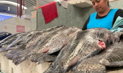 Vendedores de pescados y mariscos optimistas ante periodo de Semana Santa 