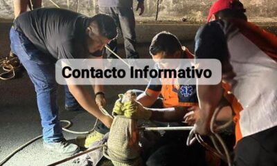 Rescata PC Cosoleacaque a par de cocodrilos