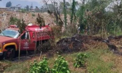 Casi 700 hectáreas consumidas por incendios forestales en zona de las altas montañas de Veracruz