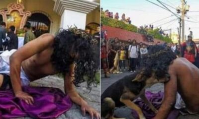 Perrito callejero consuela a actor que interpretó a Jesús en la Pasión de Cristo en Guatemala