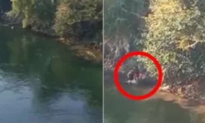 En Chiapas, familia muere ahogada en el río Grijalva; fueron a descansar por Semana Santa