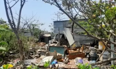 Hombre agrede a machetazos al perro de su vecina en Veracruz