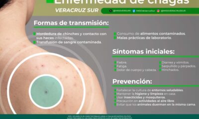 Exhorta IMSS Veracruz Sur a mantener medidas  para evitar picaduras de Chinche Besucona