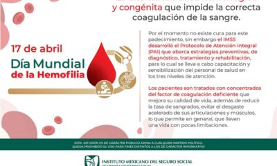 Informa IMSS Veracruz Sur sobre síntomas de Hemofilia