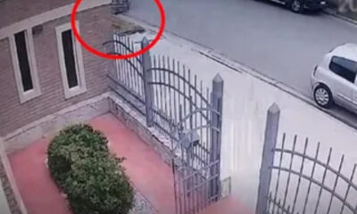 Hombre de 81 años muere tras caer de una camilla; se les volteó a los paramédicos