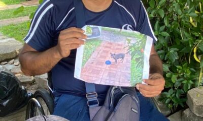 Alfonso busca incansablemente a “Coco”, una silla de ruedas no es impedimento para reencontrarse con el cachorro, dice el vecino de la Soto innes 