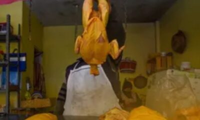 Polleros de Toluca vendían alimentos con sustancias cancerígenas: FGJ Edomex