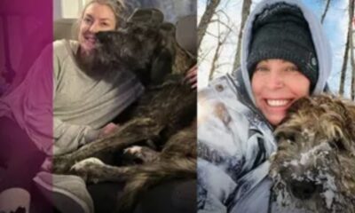 Mujer muere al lanzarse a un río helado a salvar a su lomito; son encontrados abrazados: «No era ‘solo’ un perro. Era familia»