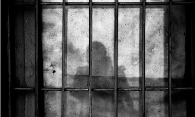 Avanza en el Senado reforma para que el presidente pueda dar amnistía “directa”