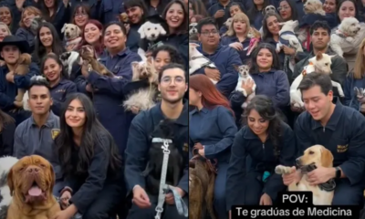 ¡Inolvidable! Estudiantes de Veterinaria de la UNAM invitan a sus perritos a su foto de graduación