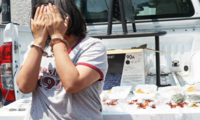 ¡Se acabó el embrujo! Cae “Nenis” que vendía dulces y hamburguesas con droga en Voca 3 del IPN