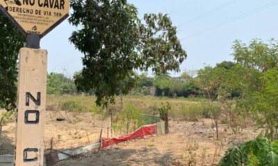 Año 86, fecha que cimbró a la colonia Díaz Ordaz