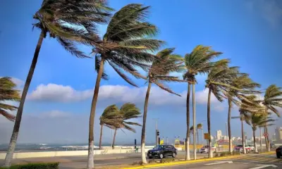 Frente frío llegaría a Veracruz; ¿Cuándo y de cuánto serían las rachas de viento?