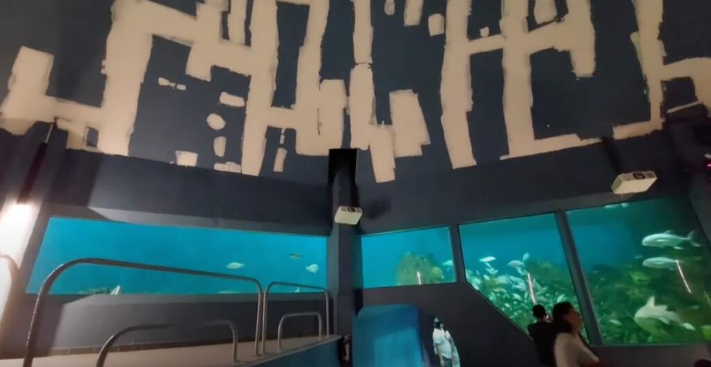 El Acuario de Veracruz ha perdido mil 577 animales desde que el gobierno de Cuitláhuac García lo administra