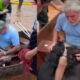 Hombre arriesga su vida por salvar a sus cuatro perritos tras las inundaciones de Brasil