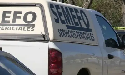 Muere niño de 2 años tras ser arrollado por camioneta en taquería de Veracruz