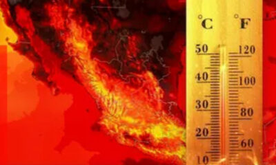 Primeras olas de calor en 2024 causan 26 muertes en México: Ssa