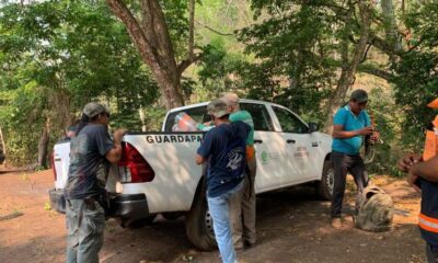 🛑🐒Brindan atención a monos afectados por ola de calor en #Hueyapan