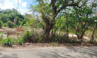 Comando armado se roba retroexcavadora