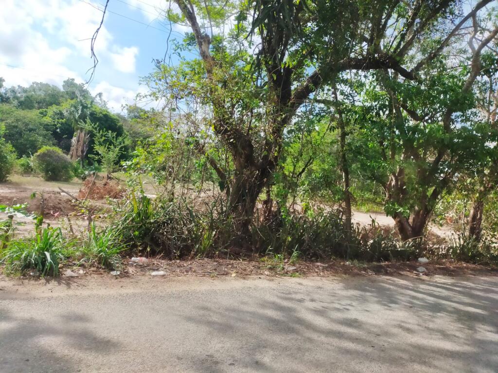 Comando armado se roba retroexcavadora