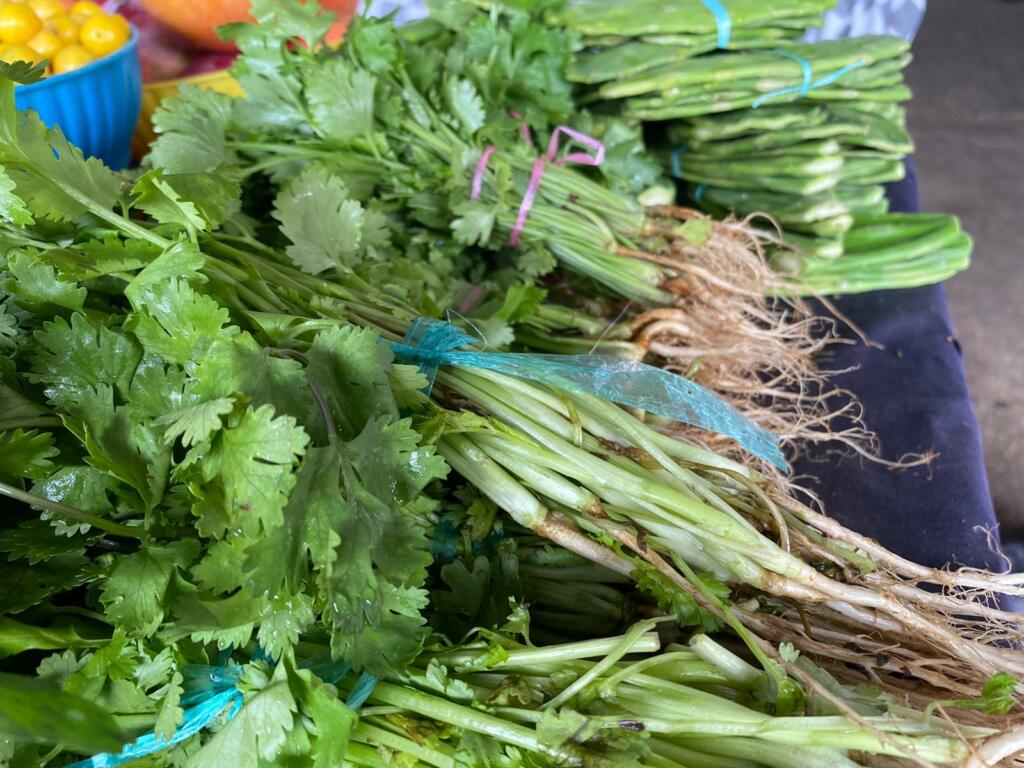 Costo del cilantro, «por las nubes»