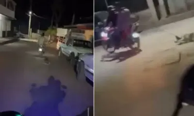 Sujetos amarran una perra a motocicleta y la arrastran hasta que desvanece en Michoacán