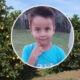 Desaparece niño de 5 años que salió a buscar naranjas con su tío en Argentina