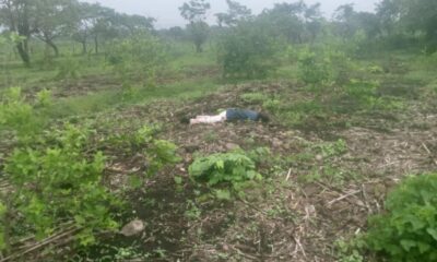 Un hombre y una mujer son atacados a balazos en la zona rural de Hueyapan de Ocampo