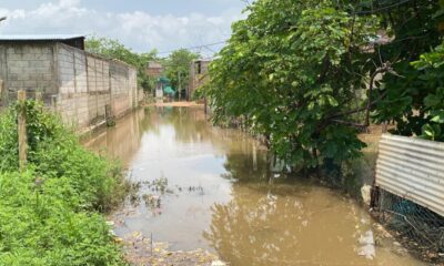 Vecinos se fueron al agua con pasadas lluvias en la ampliación Buena Vista