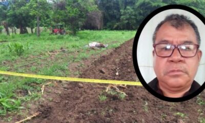 Masculino pierde la vida tras ser atacado por abejas en San Andrés Tuxtla