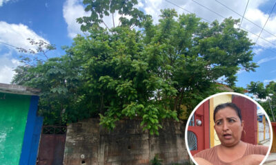 Desde hace más de nueve años que dejaron en el olvido un predio abandonado en la Insurgentes Norte, hoy convertido en nido de maleantes