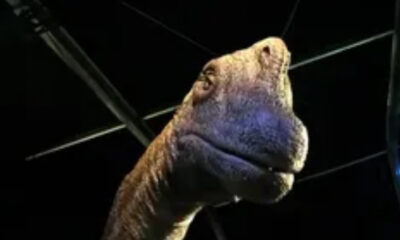 ¿Anda suelto? Dinosaurio desaparece de exposición de Jurassic World en Perisur