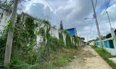 Vecinos del Palmar denuncian abandono y acumulación de basura en la zona