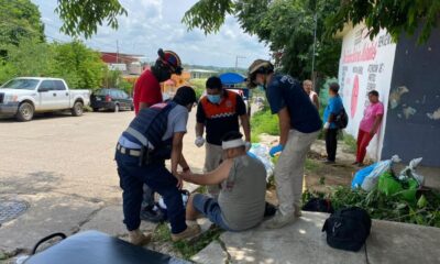 Tripulantes de vehículo en movimiento sufren salida de camino y se estampan con un árbol cerca de Monte Grande.